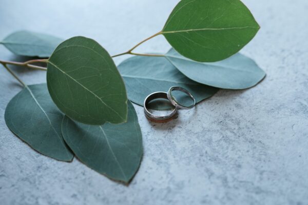 wedding rings with a wedding decor